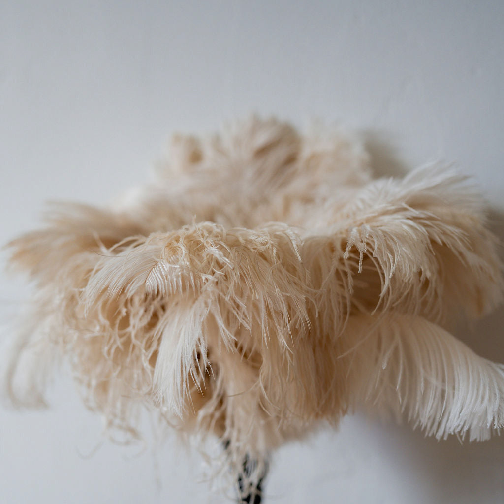 50cm Ostrich Feather Duster Cream | Heaven in Earth | Miss Arthur | Home Goods | Tasmania