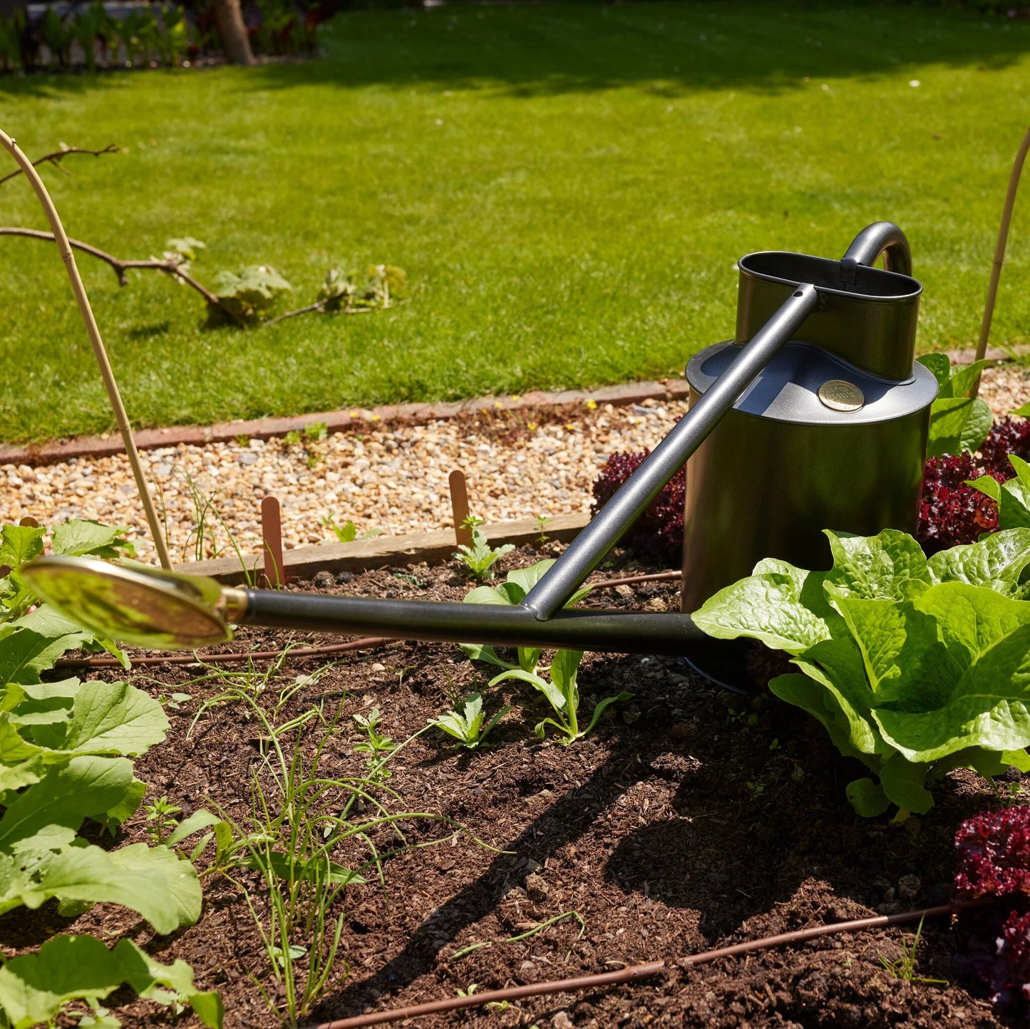 Haws The Warley Fall 9 Litre Graphite Can 188-2-GRA | Haws | Miss Arthur | Home Goods | Tasmania