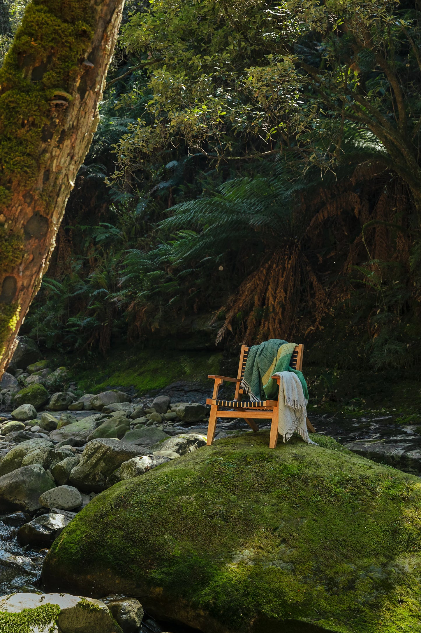 Waverley Mills Terrain Throw Tarkine Forest | Waverley Mills | Miss Arthur | Home Goods | Tasmania