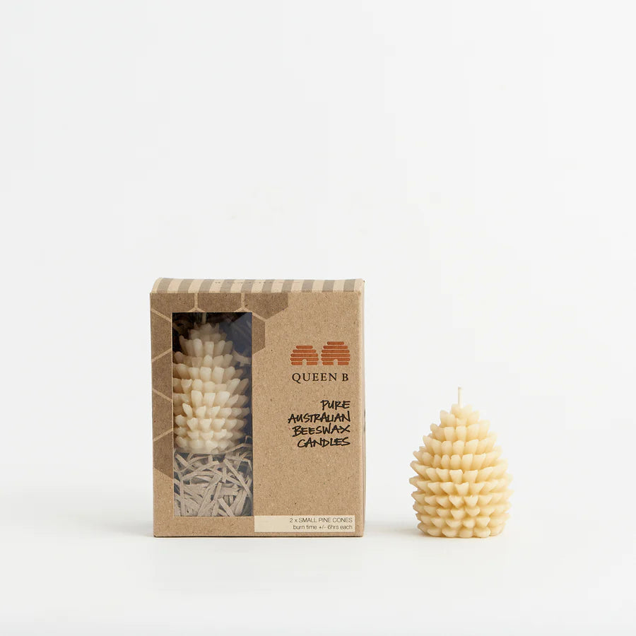 Queen B Small Pine Cones Pair | Queen B | Miss Arthur | Home Goods | Tasmania