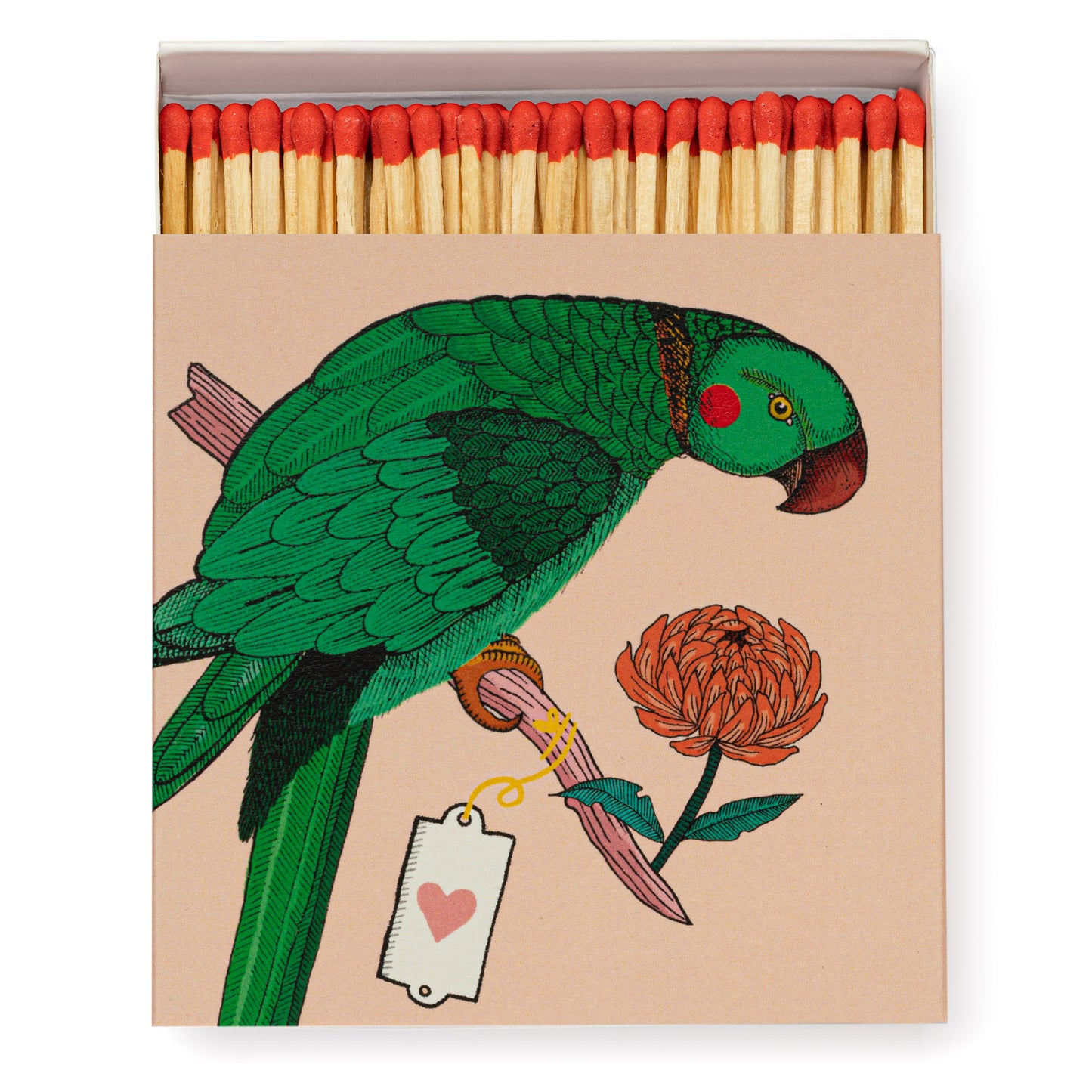 Archivist Luxury Matches Ariane's Parrot | Archivist | Miss Arthur | Home Goods | Tasmania