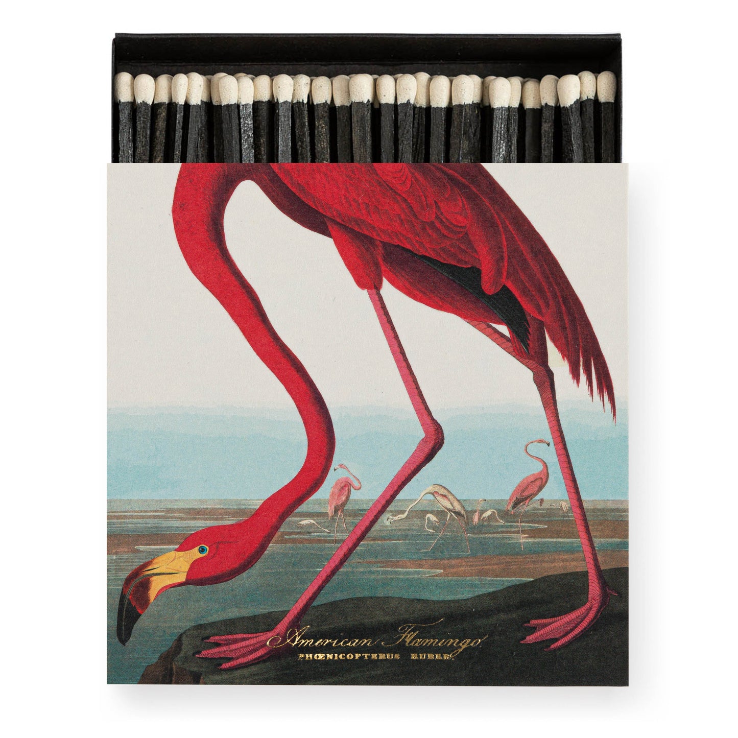 Archivist Luxury Matches The American Flamingo by Audubon | Archivist | Miss Arthur | Home Goods | Tasmania