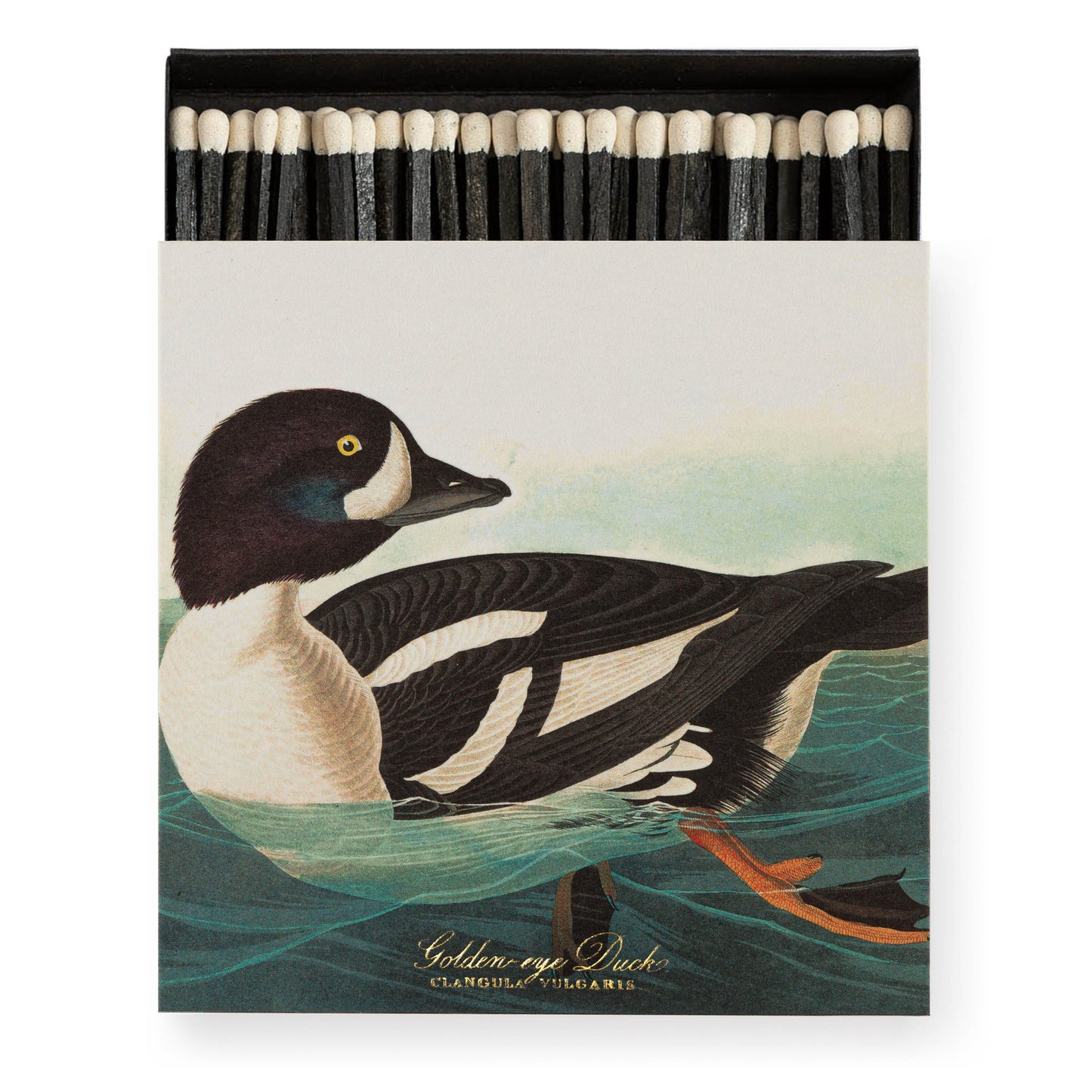Archivist Luxury Matches The Golden-Eye Duck by Audubon | Archivist | Miss Arthur | Home Goods | Tasmania