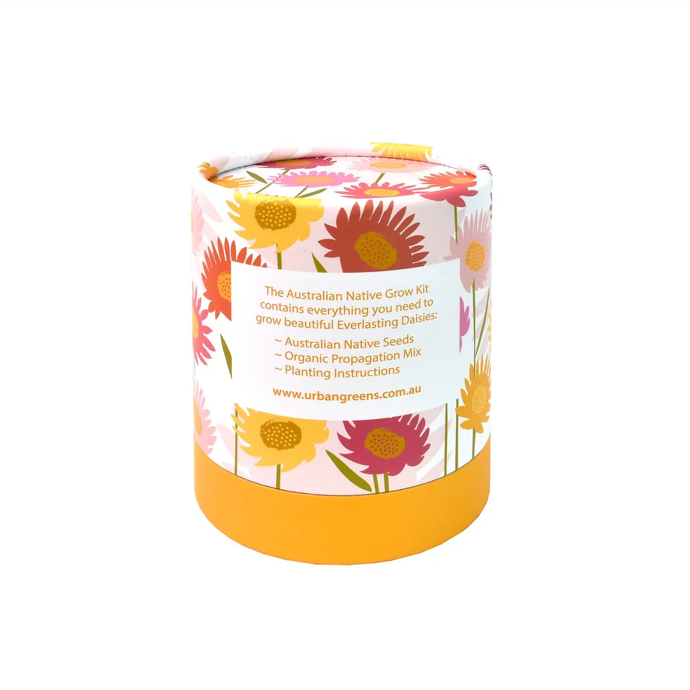 Urban Greens Australian Native Grow Kit Everlasting Daisies | Urban Greens | Miss Arthur | Home Goods | Tasmania