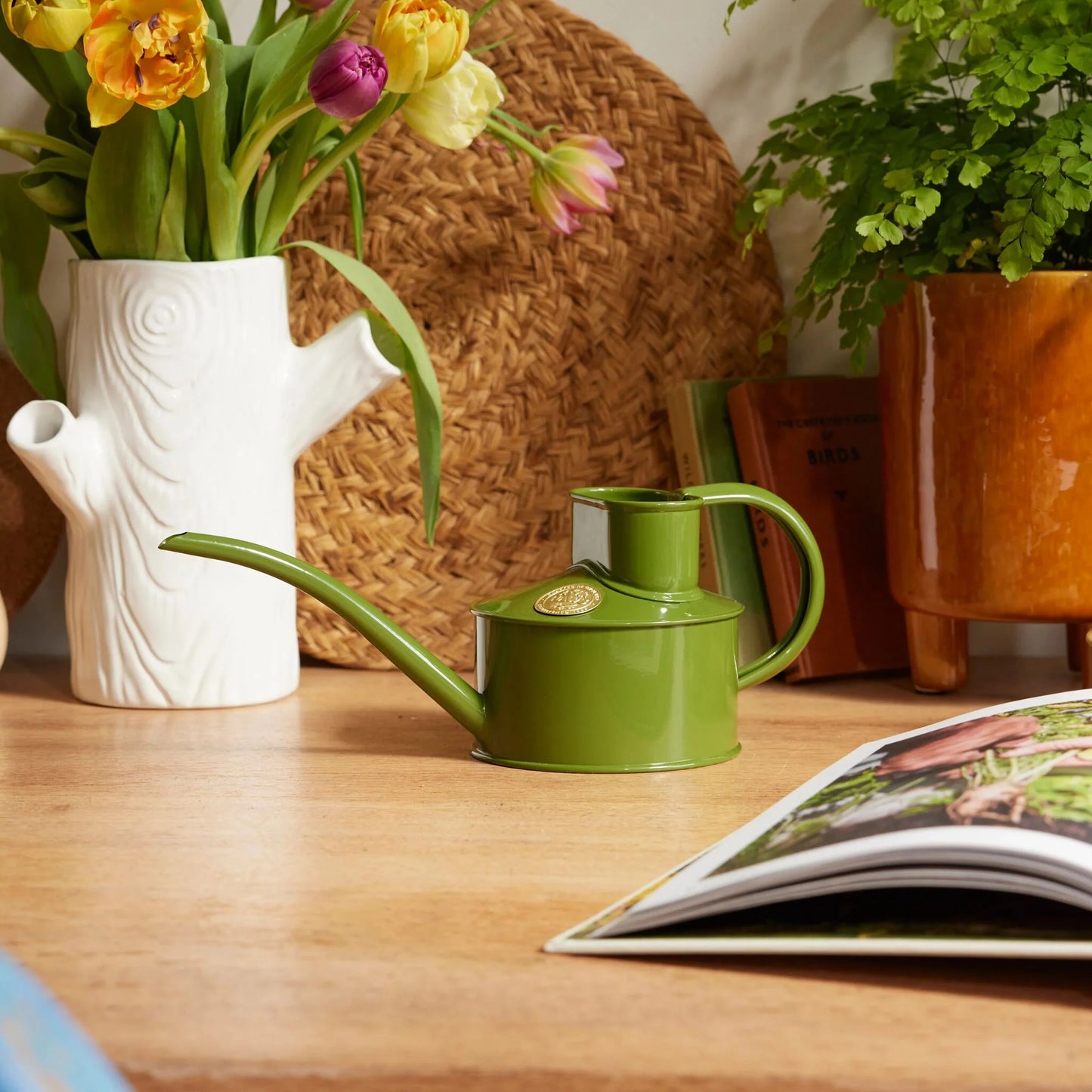 Haws The Fazeley Flow 0.5 Litre Fern Green Watering Pot | Haws | Miss Arthur | Home Goods | Tasmania