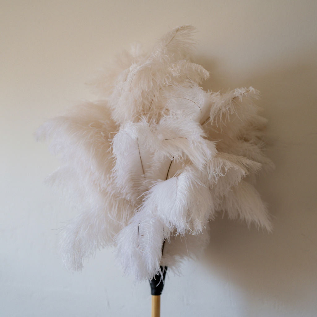 Ostrich Feather Duster Cream 90cm | Heaven in Earth | Miss Arthur | Home Goods | Tasmania