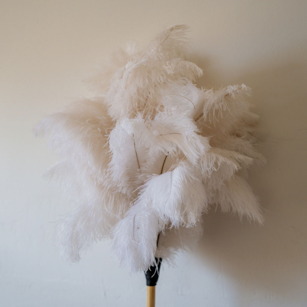 Ostrich Feather Duster White 90cm | Heaven in Earth | Miss Arthur | Home Goods | Tasmania