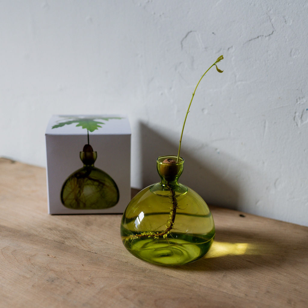 Ilex Studio Acorn Vase Grass Green | Ilex Studio | Miss Arthur | Home Goods | Tasmania