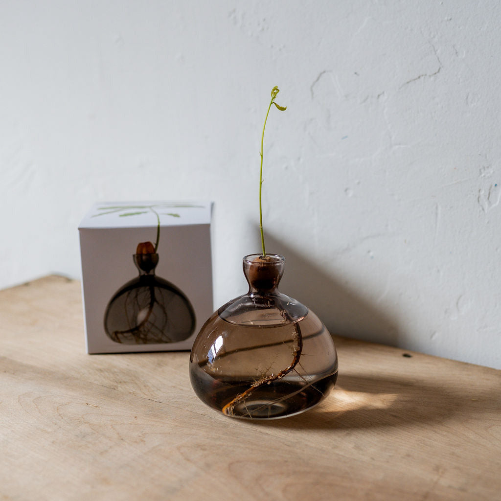 Ilex Studio Acorn Vase Smoke Grey | Ilex Studio | Miss Arthur | Home Goods | Tasmania