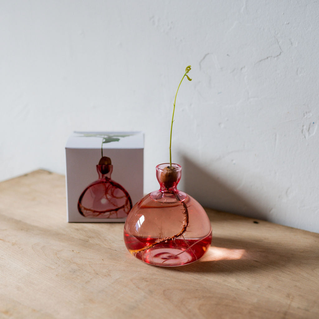 Ilex Studio Acorn Vase Rose Pink | Ilex Studio | Miss Arthur | Home Goods | Tasmania