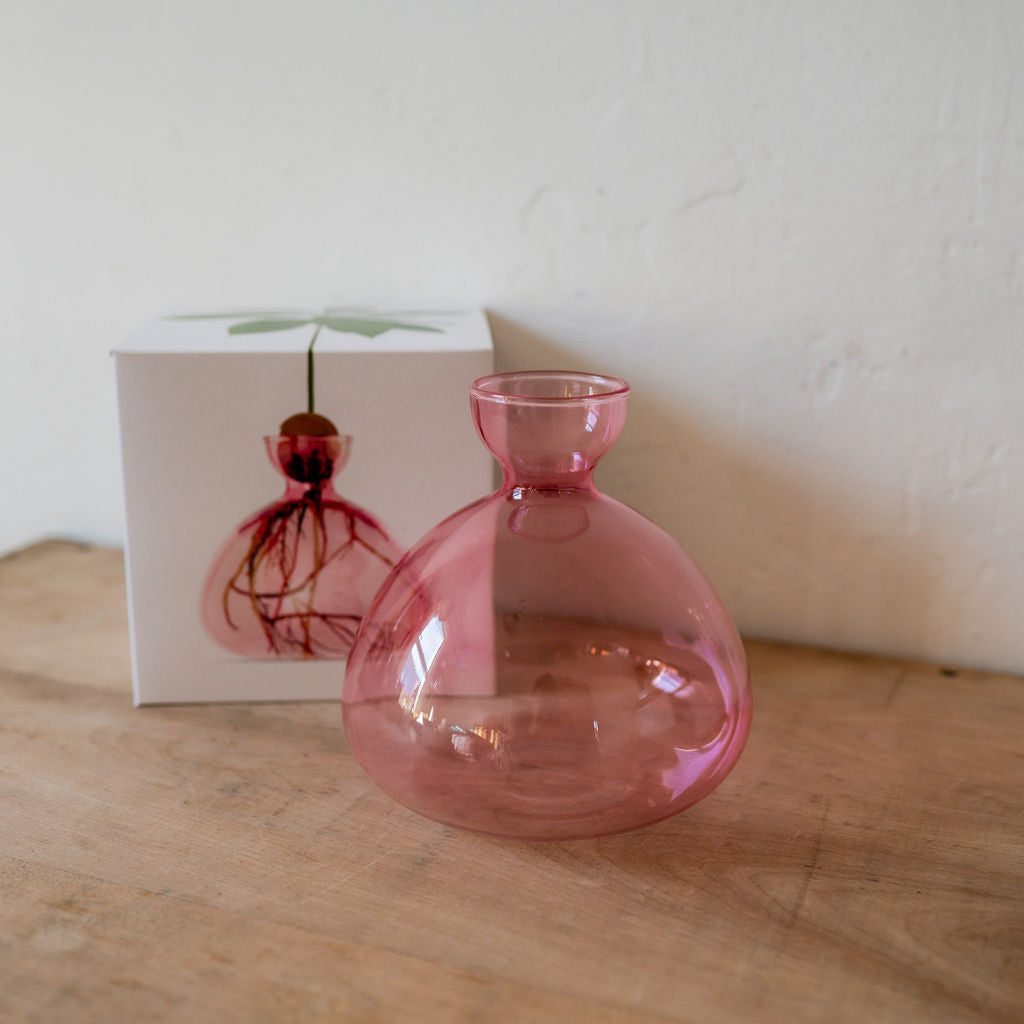 Ilex Studio Avocado Vase Rose Pink | Ilex Studio | Miss Arthur | Home Goods | Tasmania