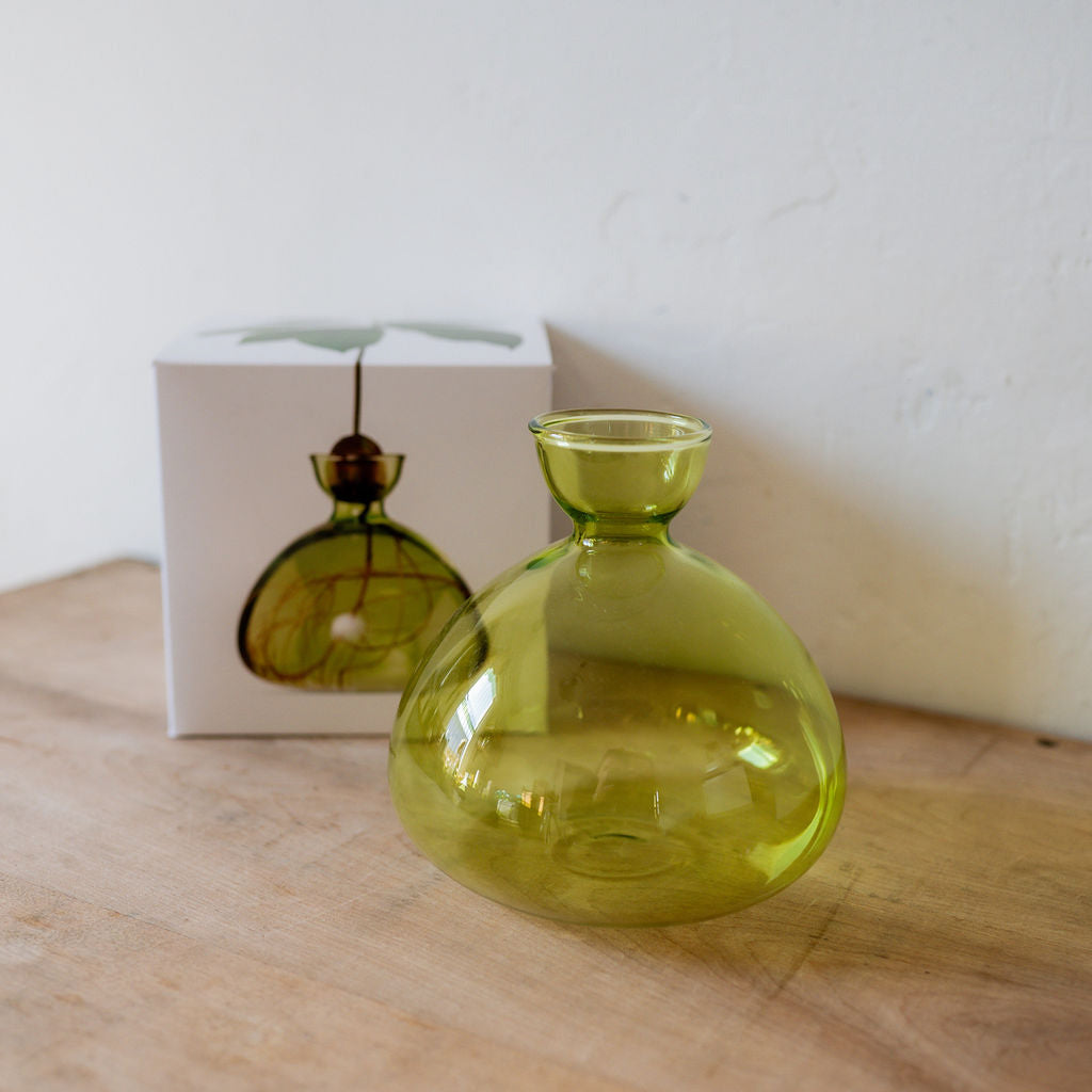 Ilex Studio Avocado Vase Grass Green | Ilex Studio | Miss Arthur | Home Goods | Tasmania