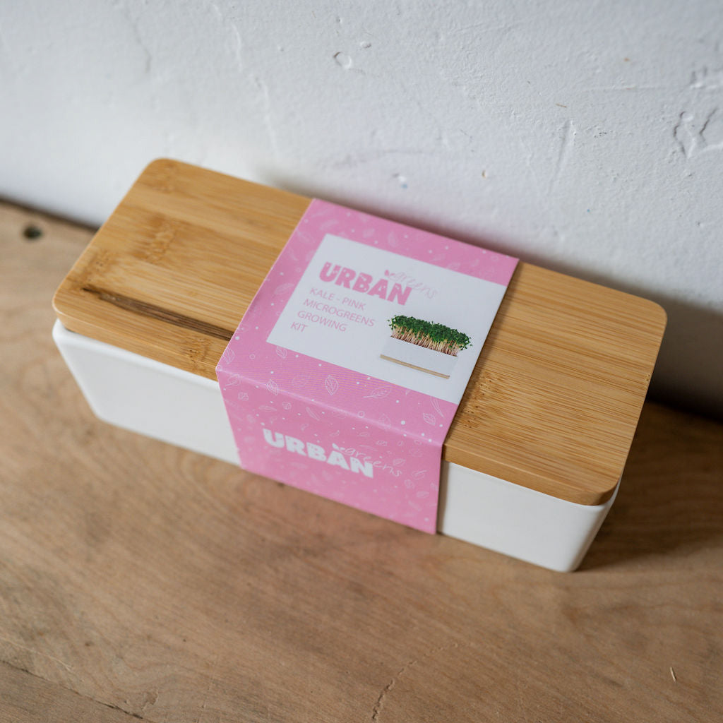 Urban Greens Mini Sprout Garden Kale Pink | Urban Greens | Miss Arthur | Home Goods | Tasmania