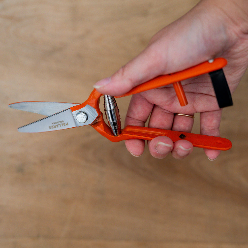 Pallares Solsona Pruning Shears Vintage Scissors Straight Carbon Steel 19cm | Pallarès Solsona | Miss Arthur | Home Goods | Tasmania