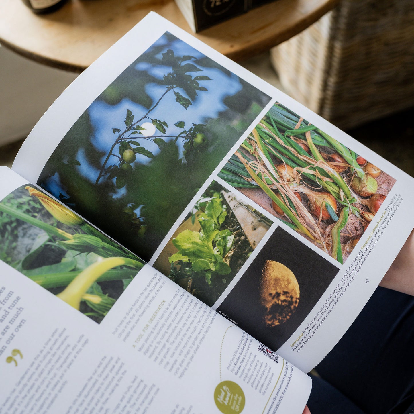 Pip Magazine Issue 38 | Pip Magazine | Miss Arthur | Home Goods | Tasmania