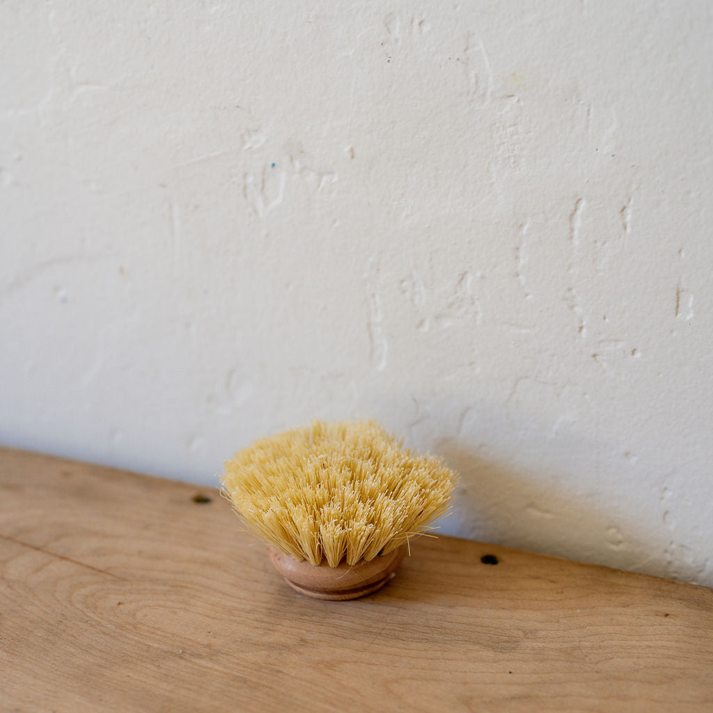 Redecker Dish Brush Replacement Head Natural 5cm | Redecker | Miss Arthur | Home Goods | Tasmania