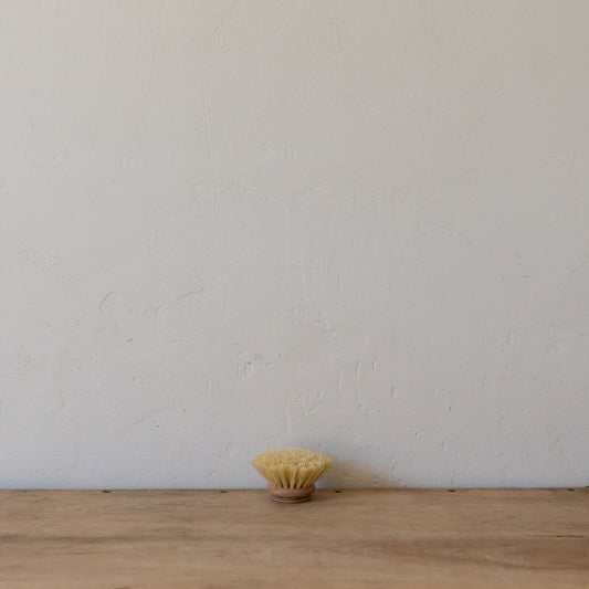 Redecker Dish Brush Replacement Head Natural 5cm | Redecker | Miss Arthur | Home Goods | Tasmania