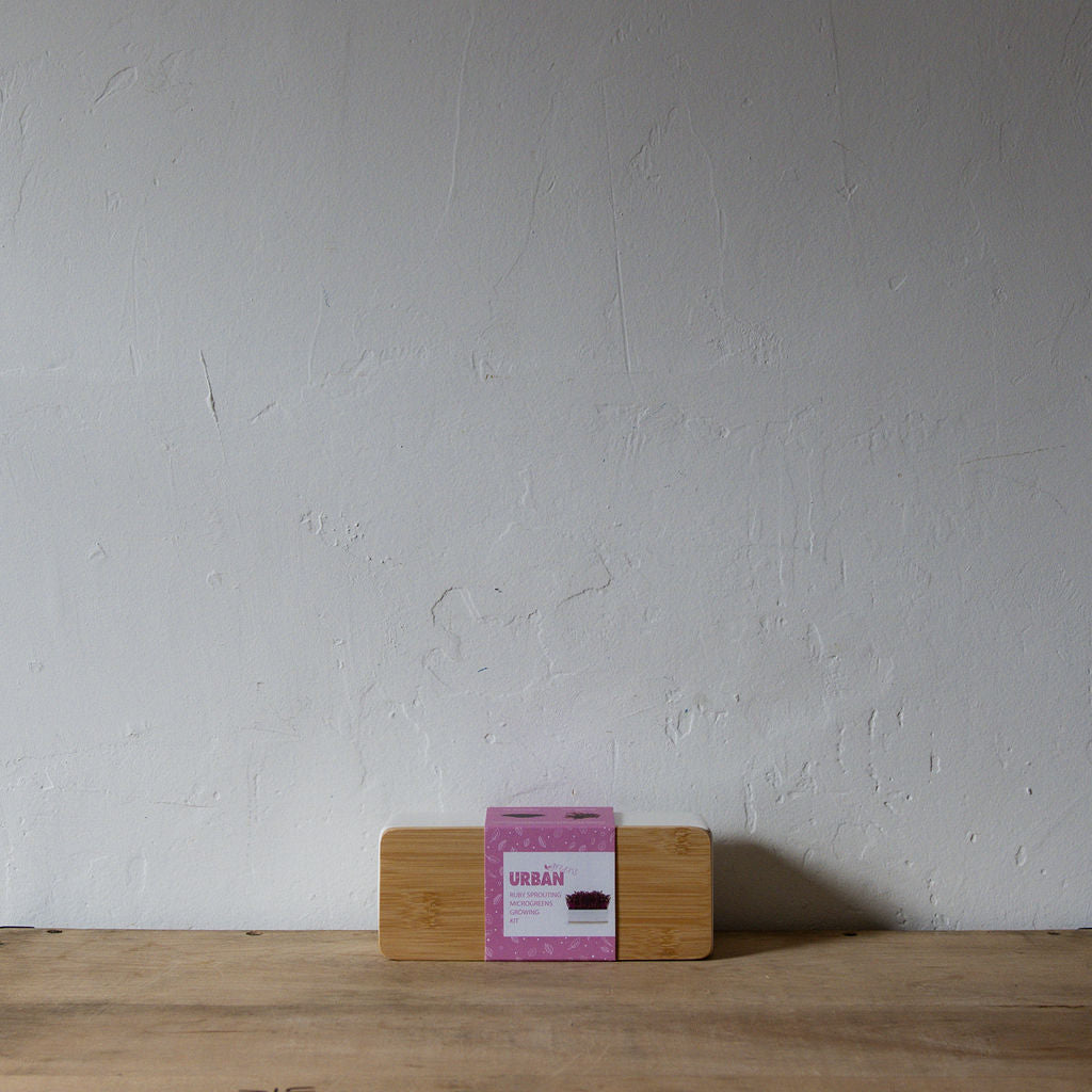 Urban Greens Mini Sprout Garden Ruby Sprout | Urban Greens | Miss Arthur | Home Goods | Tasmania