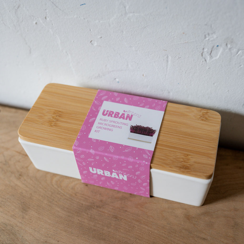 Urban Greens Mini Sprout Garden Ruby Sprout | Urban Greens | Miss Arthur | Home Goods | Tasmania