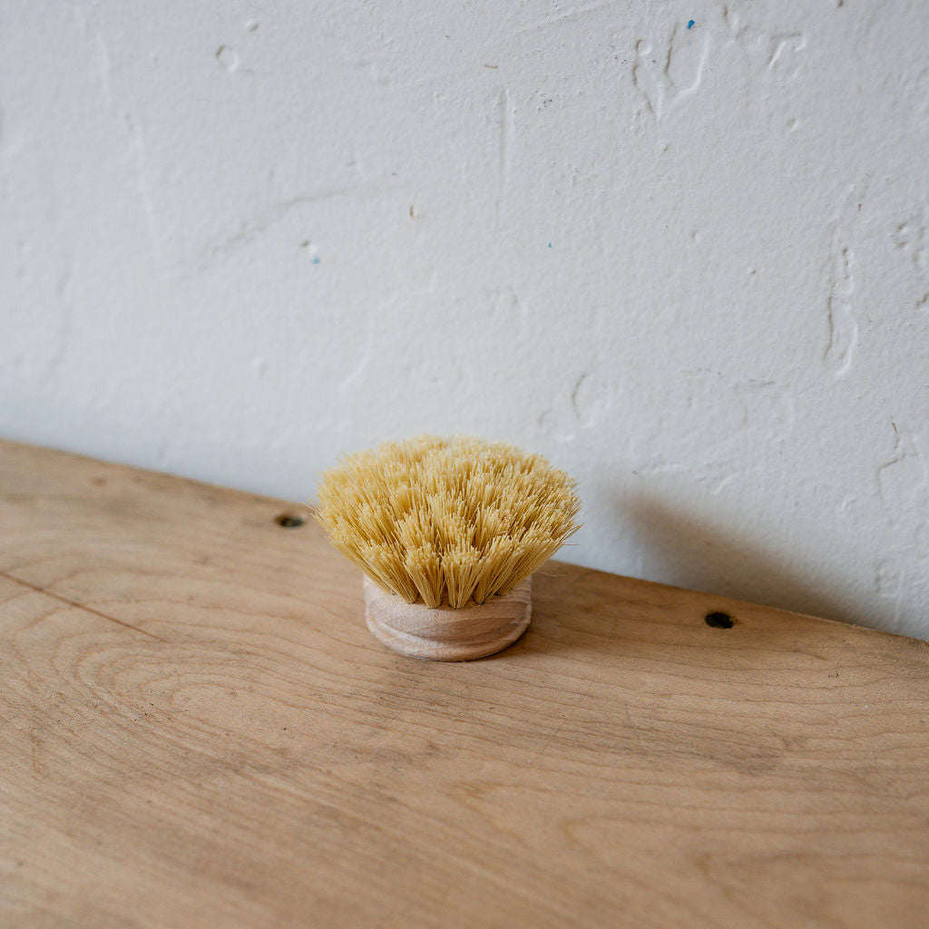 Dish Brush Replacement Head Small | Heaven in Earth | Miss Arthur | Home Goods | Tasmania