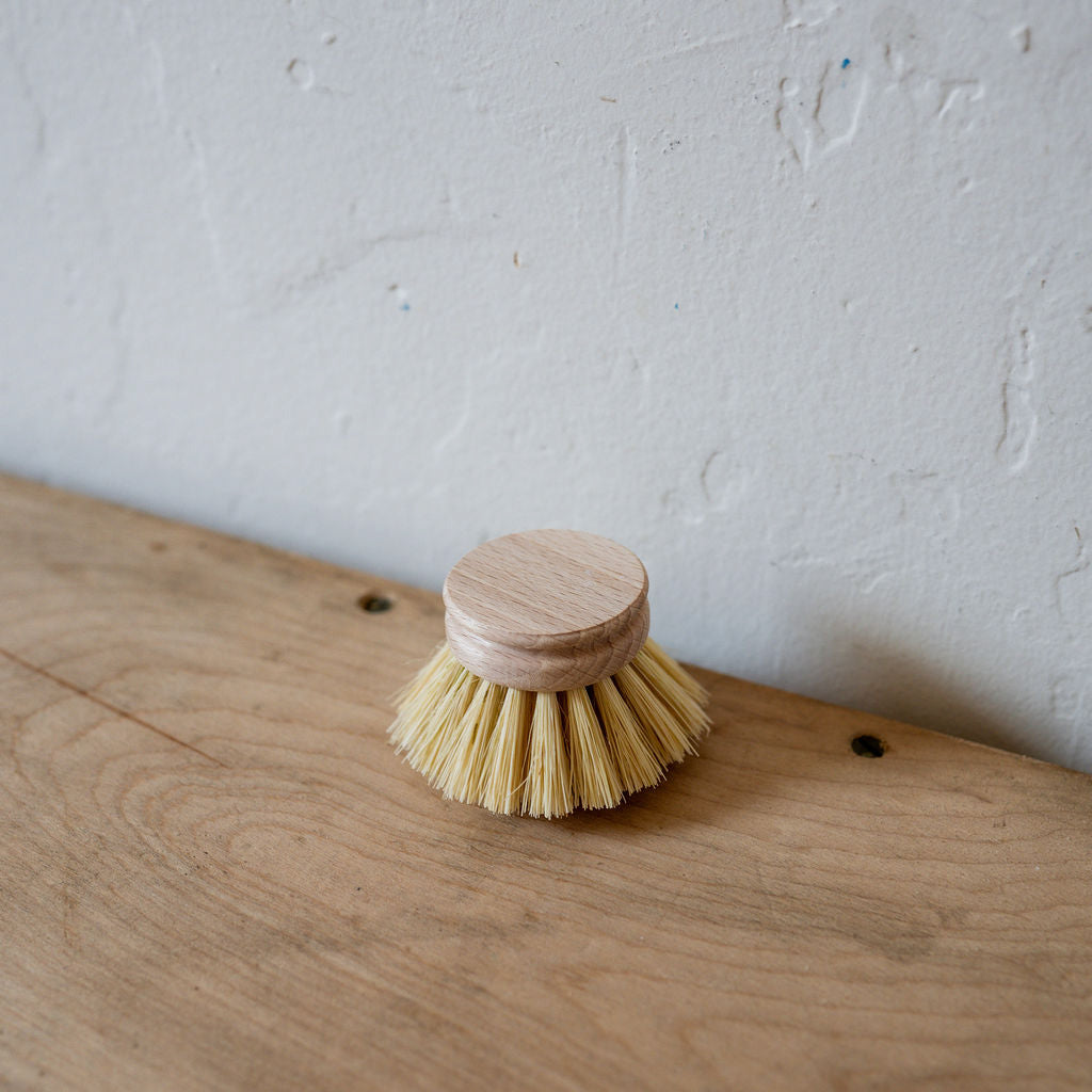 Dish Brush Replacement Head Small | Heaven in Earth | Miss Arthur | Home Goods | Tasmania