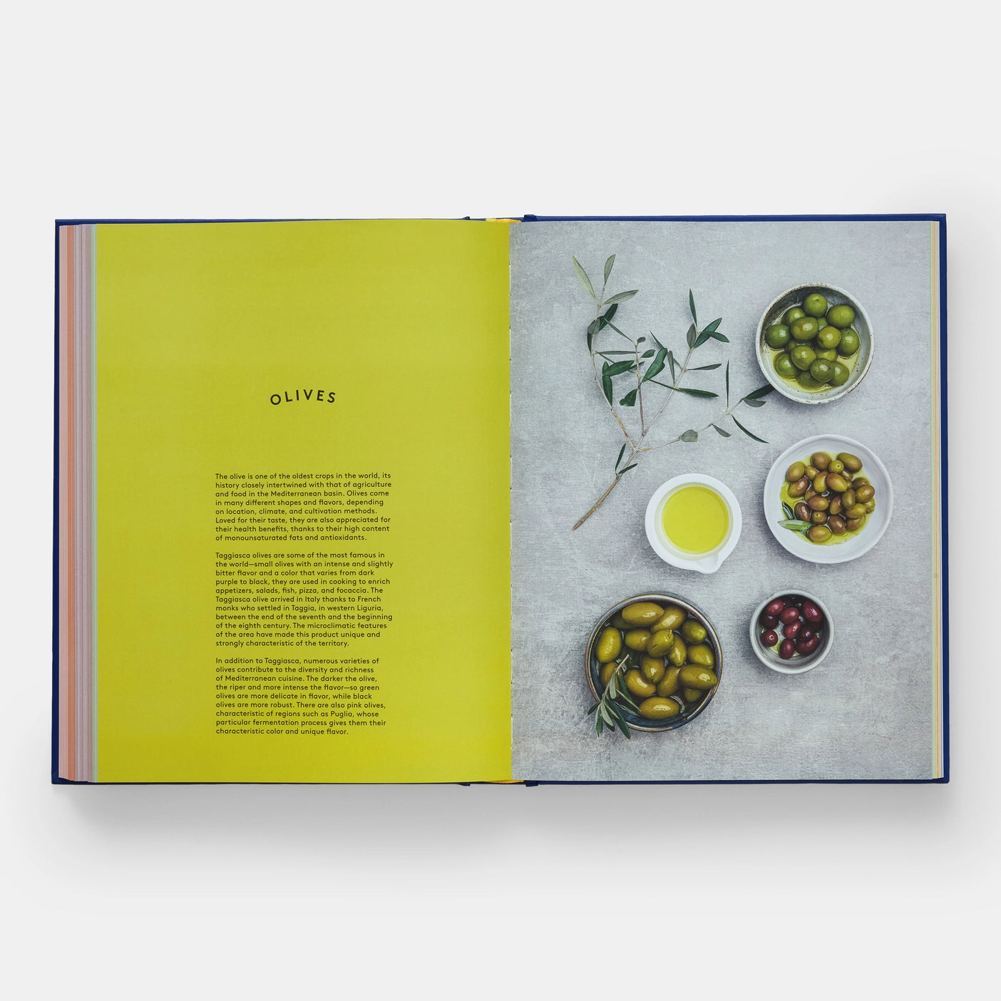 The Book of Pasta | Brumby Sunstate | Miss Arthur | Home Goods | Tasmania