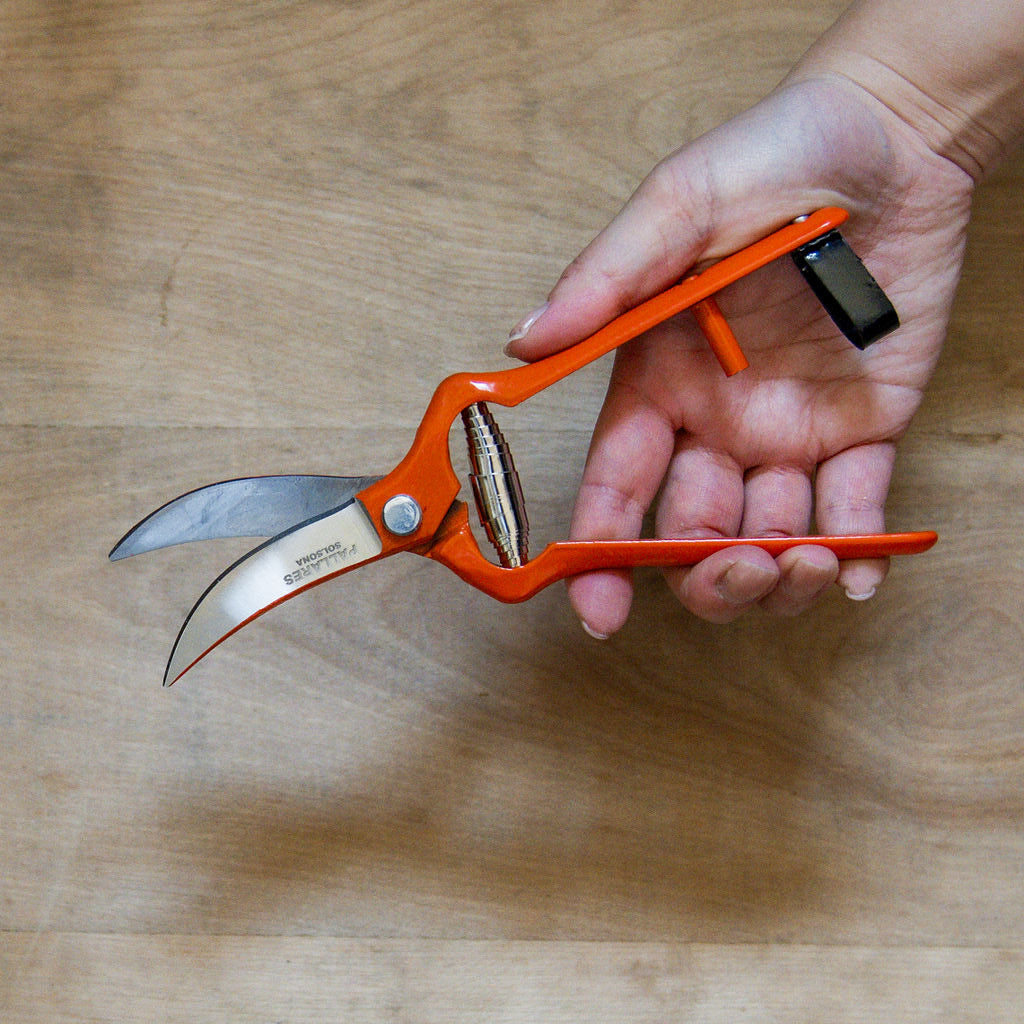Pallares Solsona Pruning Shears Vintage Scissors Curve Carbon Steel 19cm | Pallarès Solsona | Miss Arthur | Home Goods | Tasmania