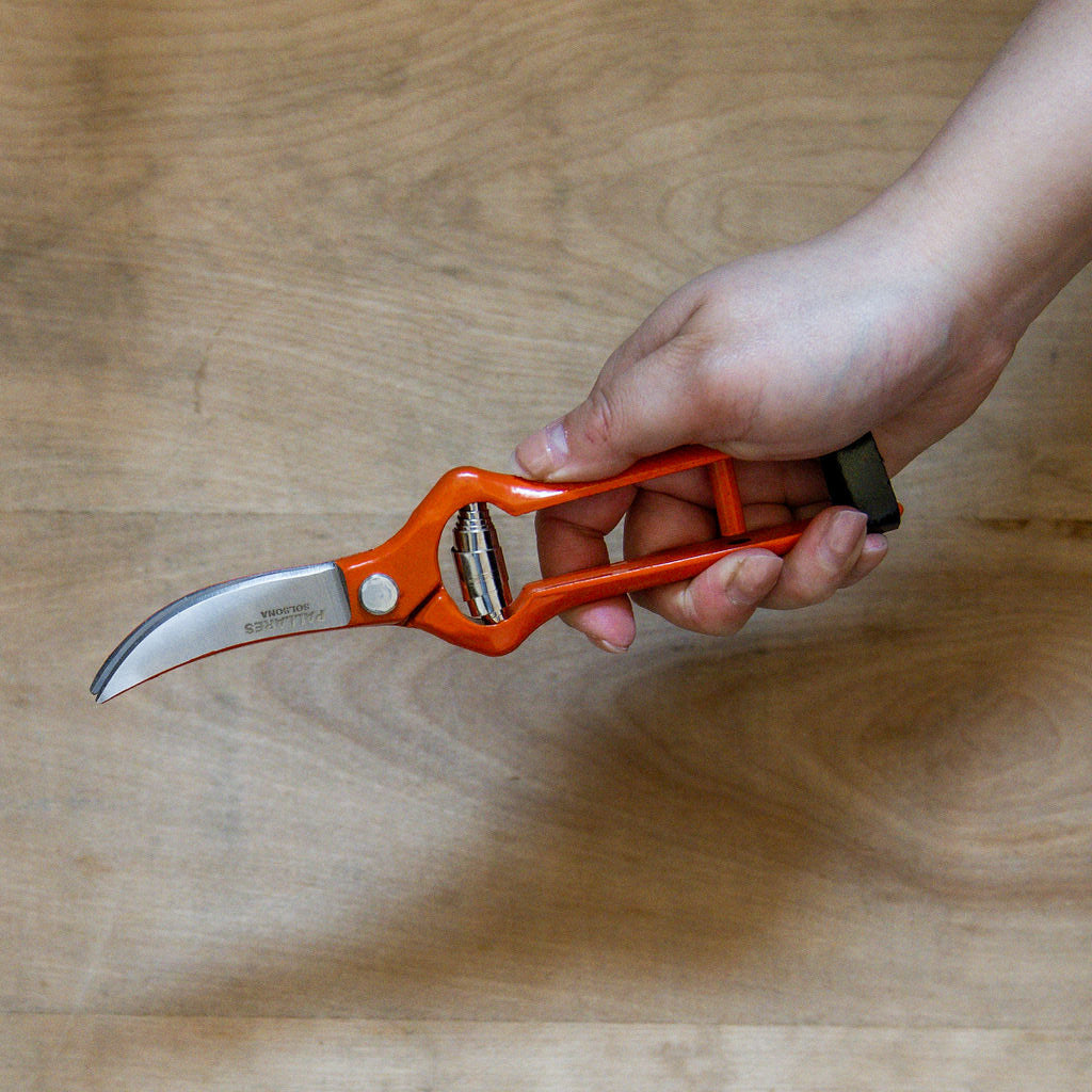 Pallares Solsona Pruning Shears Vintage Scissors Curve Carbon Steel 19cm | Pallarès Solsona | Miss Arthur | Home Goods | Tasmania