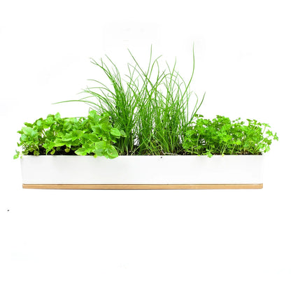 Urban Greens Window Sill Box Micro Herbs | Urban Greens | Miss Arthur | Home Goods | Tasmania