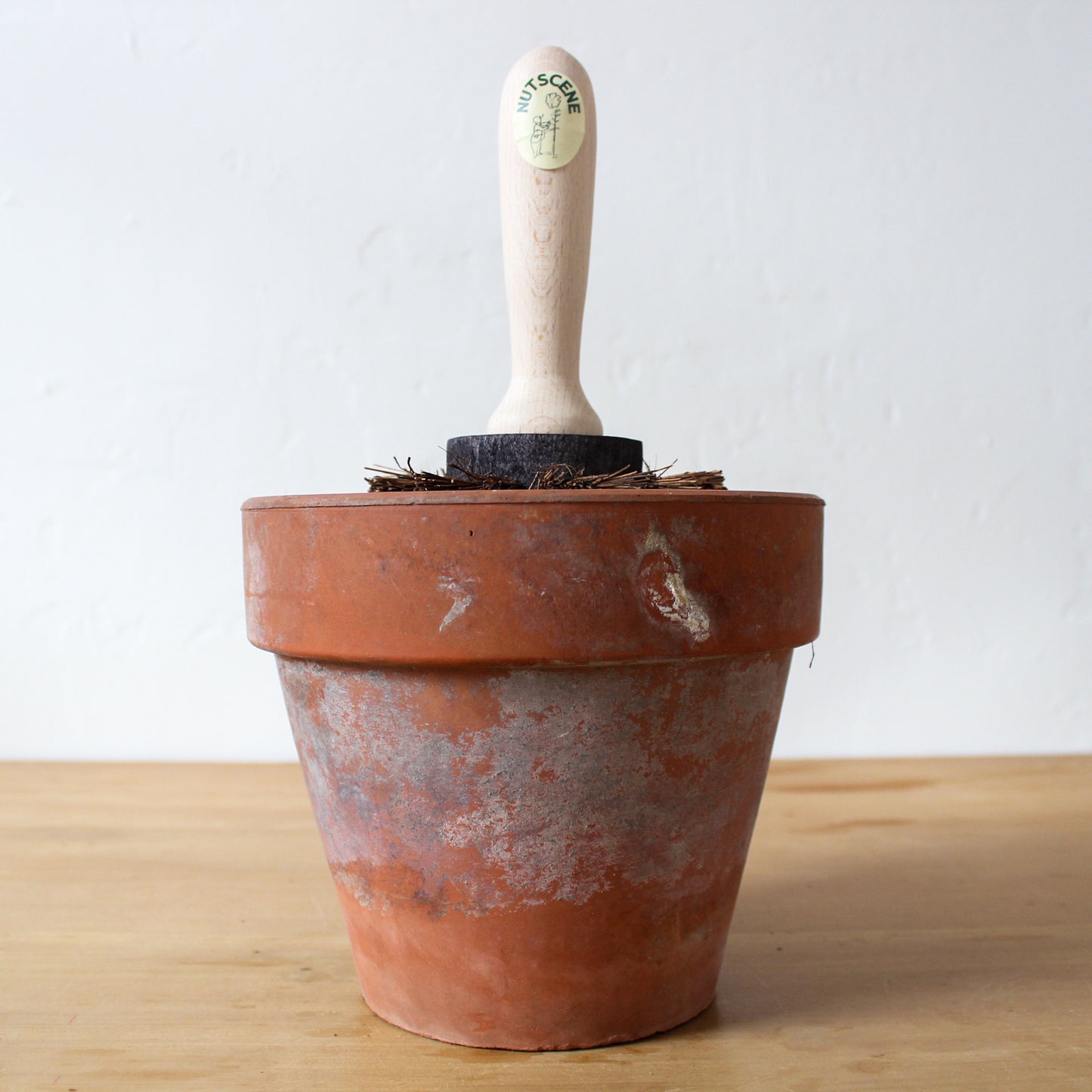 Nutscene Garden Pot Brush | Nutscene | Miss Arthur | Home Goods | Tasmania