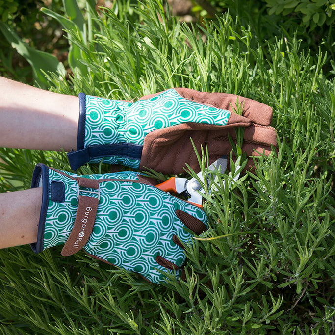 Burgon & Ball Love The Glove Deco M/L | Burgon & Ball | Miss Arthur | Home Goods | Tasmania