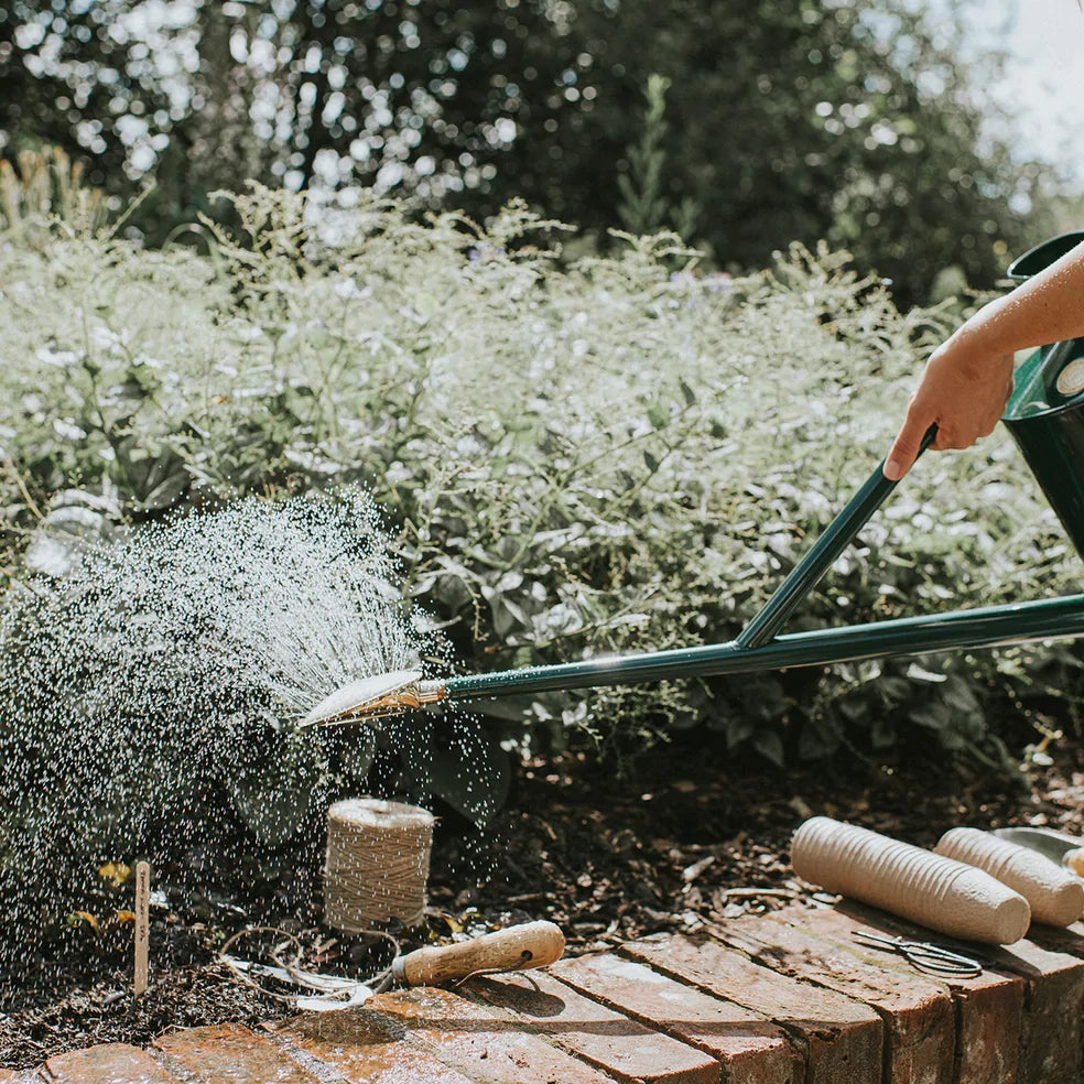 Haws Brass Bedding Rose Fine Spray | Haws | Miss Arthur | Home Goods | Tasmania