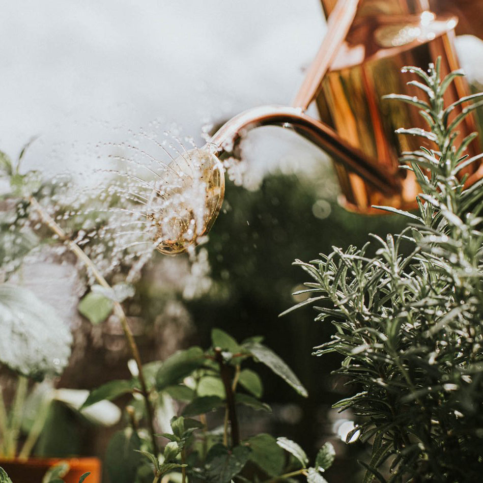 Haws Rowley Ripple 1 Litre Copper Can | Haws | Miss Arthur | Home Goods | Tasmania