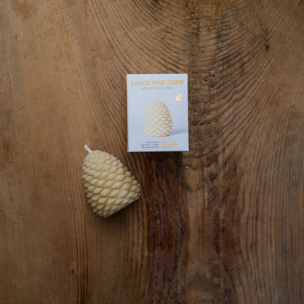 Queen B Large Pine Cone | Queen B | Miss Arthur | Home Goods | Tasmania