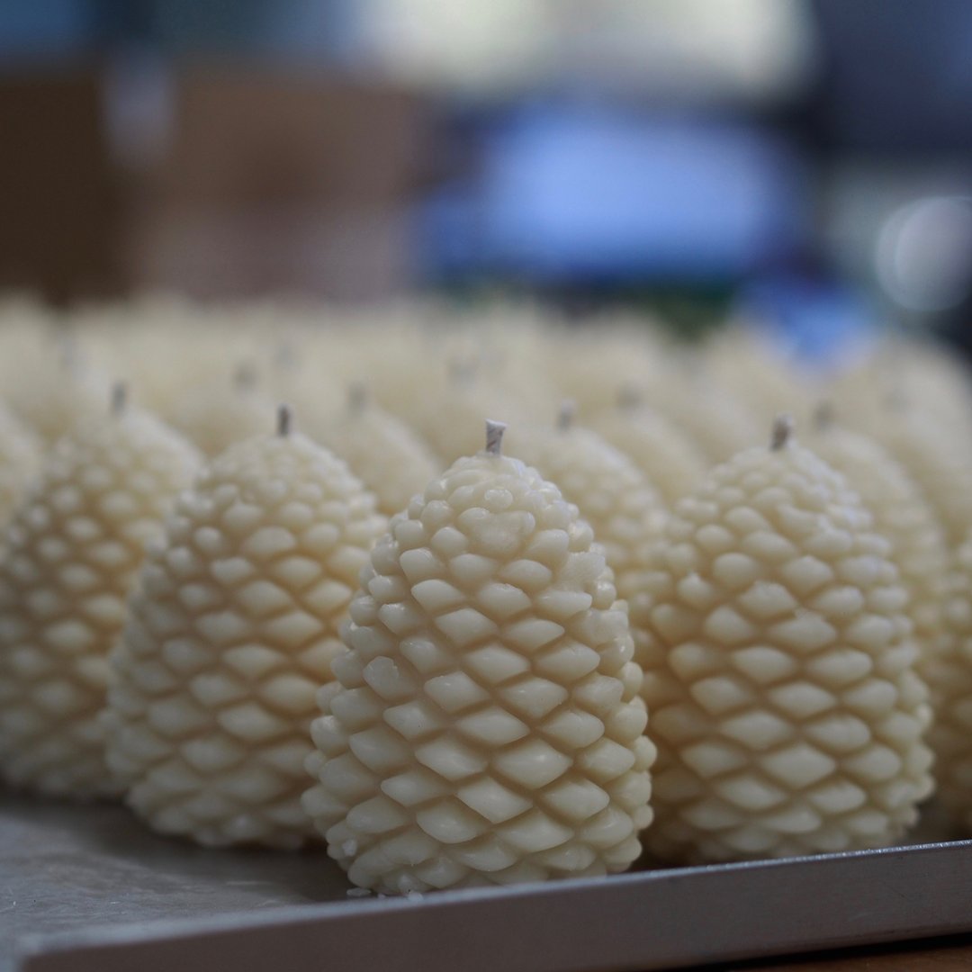 Queen B Black Label Medium Pine Cones | Queen B | Miss Arthur | Home Goods | Tasmania