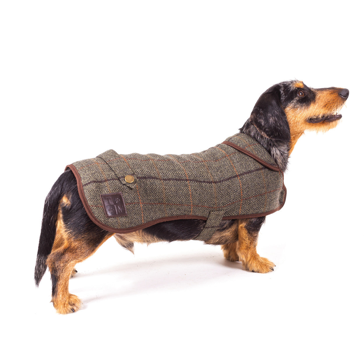 Tweedmill Textiles Tweed Dog Coat Green/Brown X-Small | Tweedmill Textiles | Miss Arthur | Home Goods | Tasmania