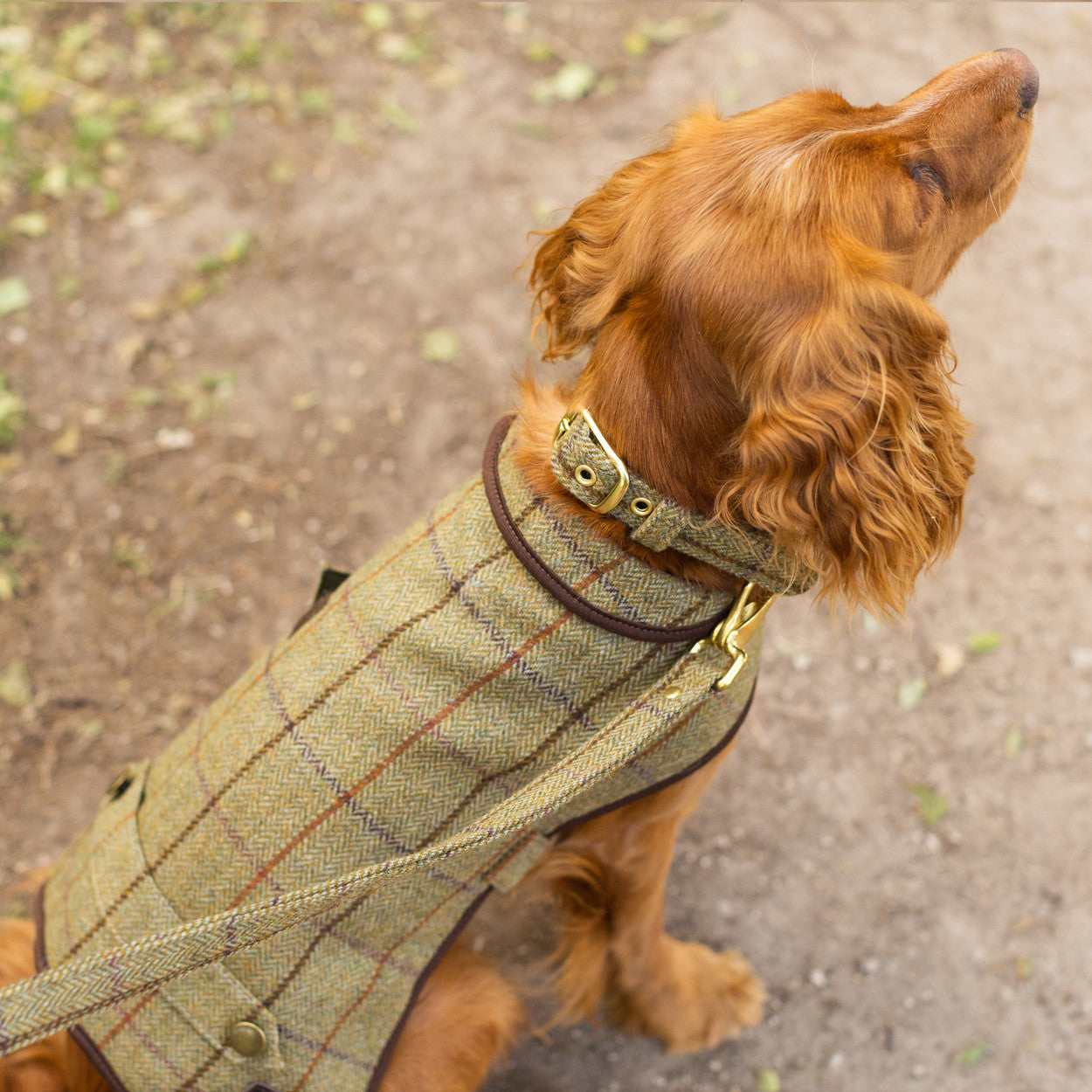 Tweedmill Textiles Tweed Dog Coat Khaki Large | Tweedmill Textiles | Miss Arthur | Home Goods | Tasmania