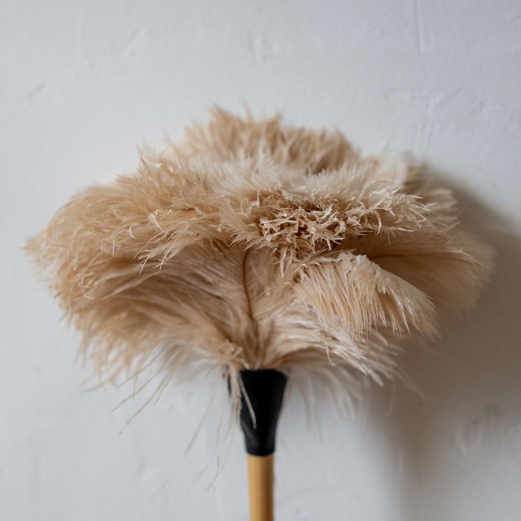 35cm Ostrich Feather Duster Cream | Heaven in Earth | Miss Arthur | Home Goods | Tasmania