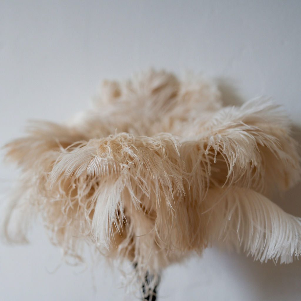 50cm Ostrich Feather Duster Cream | Heaven in Earth | Miss Arthur | Home Goods | Tasmania