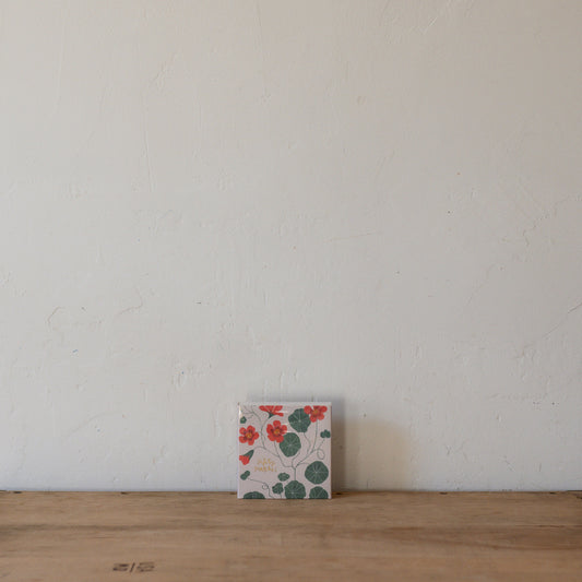 Archivist Luxury Matches Nasturtium | Archivist | Miss Arthur | Home Goods | Tasmania