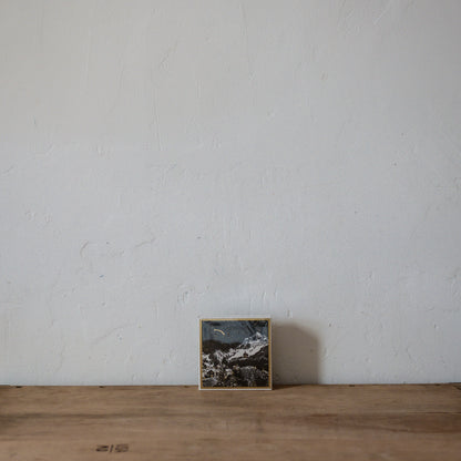 Archivist Luxury Matches Alpine Lodge