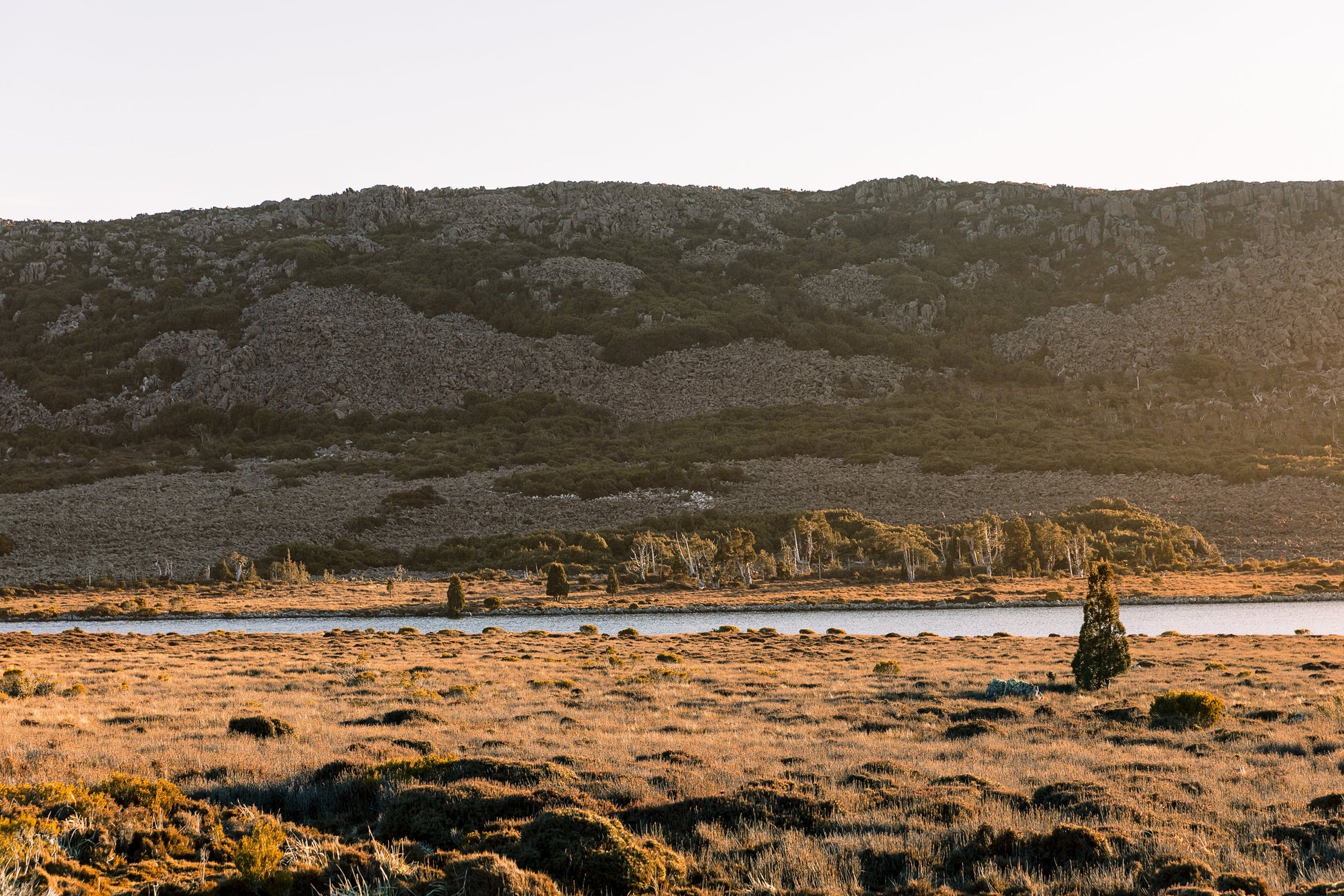 Waverley Mills Terrain Throw Cradle Mountain | Waverley Mills | Miss Arthur | Home Goods | Tasmania