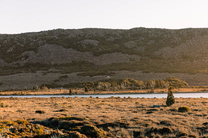 Waverley Mills Terrain Throw Cradle Mountain | Waverley Mills | Miss Arthur | Home Goods | Tasmania