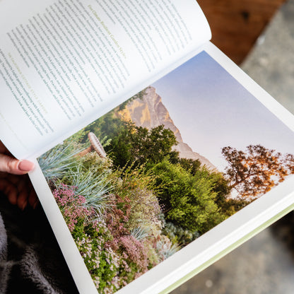 Designing the Lush Dry Garden