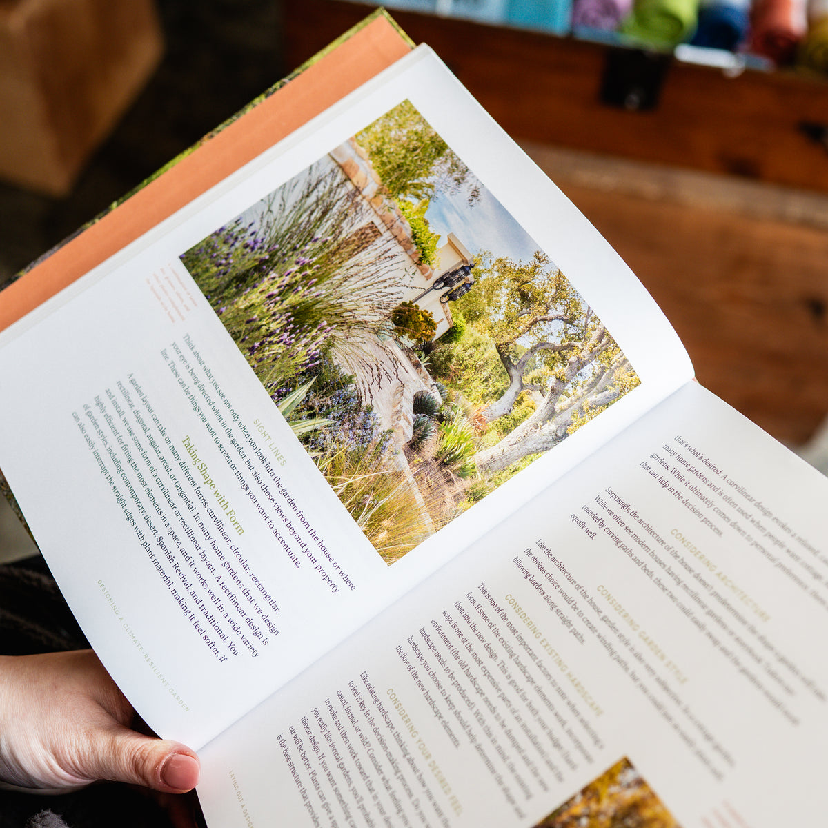 Designing the Lush Dry Garden