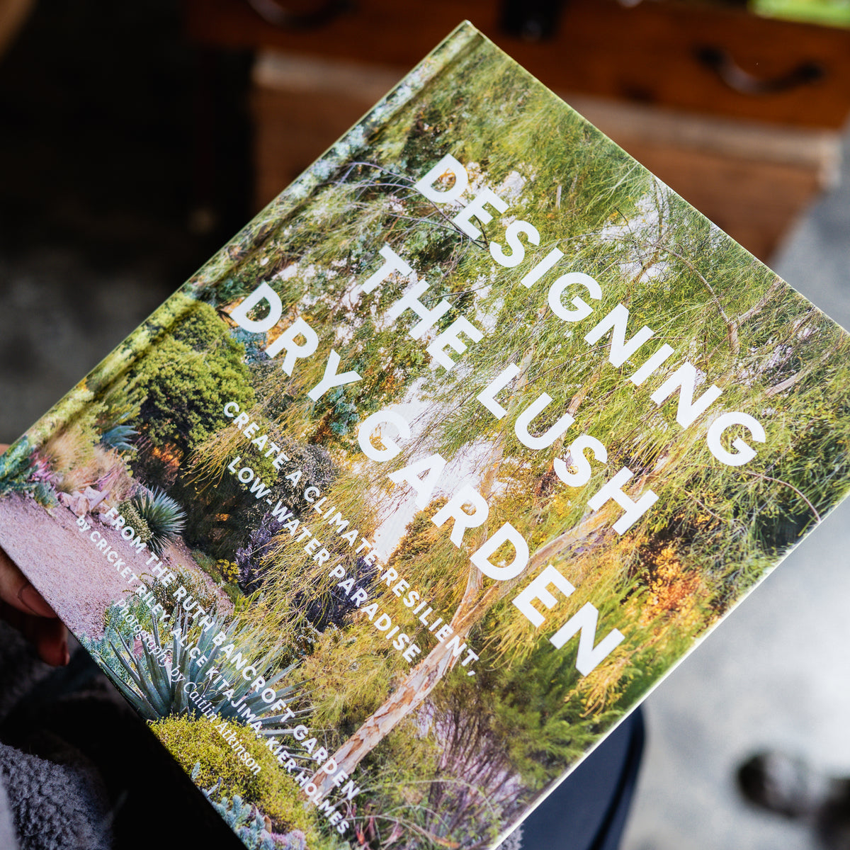 Designing the Lush Dry Garden