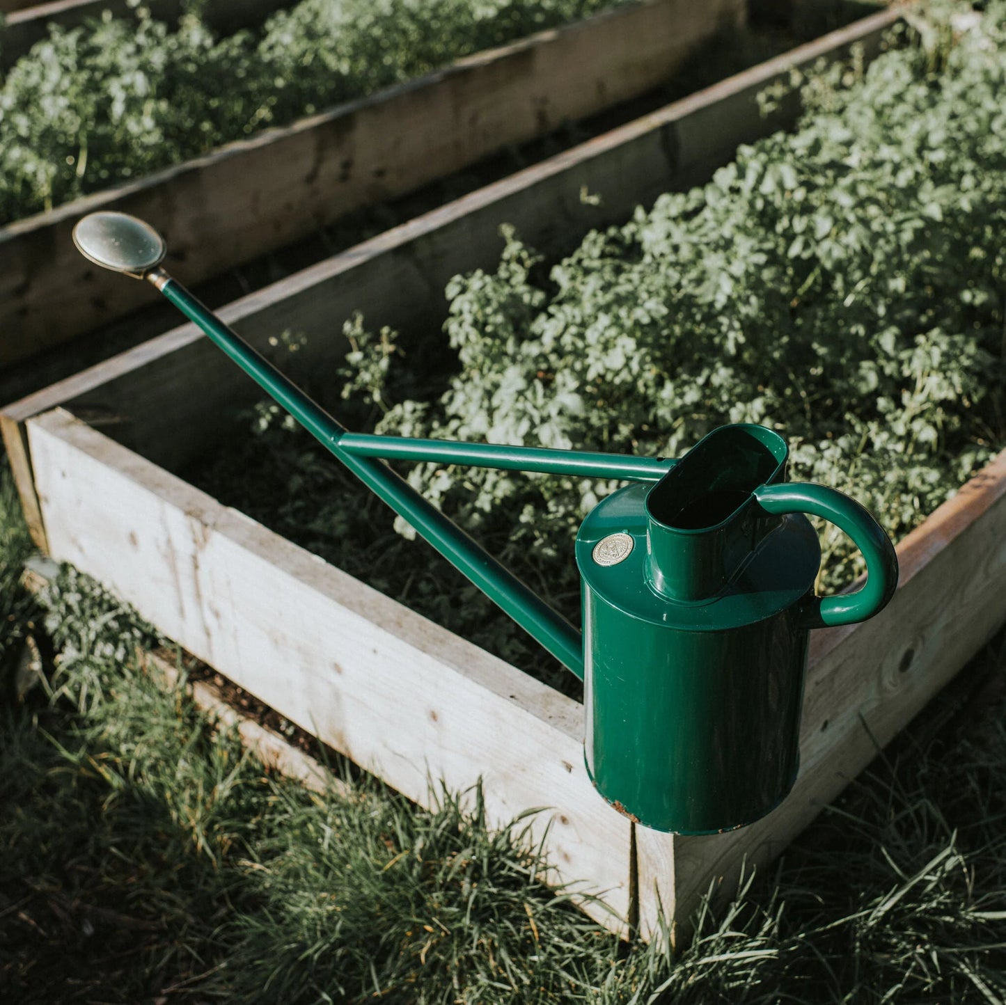 Haws The Warley Fall 9 Litre Green Can 188-2-GRN | Haws | Miss Arthur | Home Goods | Tasmania