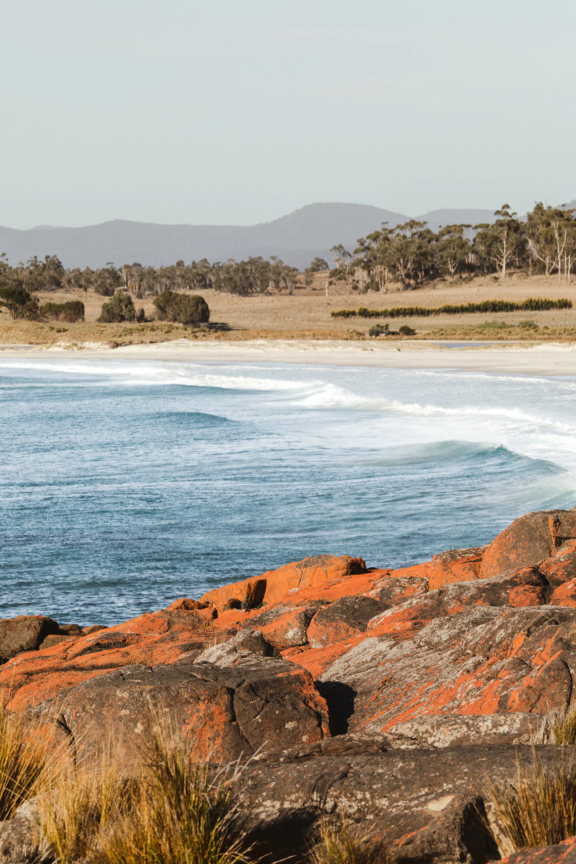 Waverley Mills Terrain Throw Bay of Fires | Waverley Mills | Miss Arthur | Home Goods | Tasmania