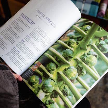 Pip Magazine Issue 41 | Pip Magazine | Miss Arthur | Home Goods | Tasmania