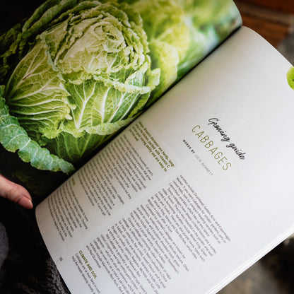 Pip Magazine Issue 40